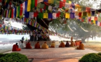 Khu Vườn Lâm Tỳ Ni